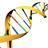 DNA