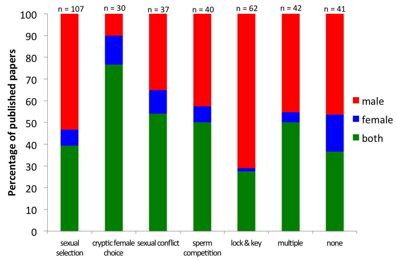 Barron-Fig-2.jpg