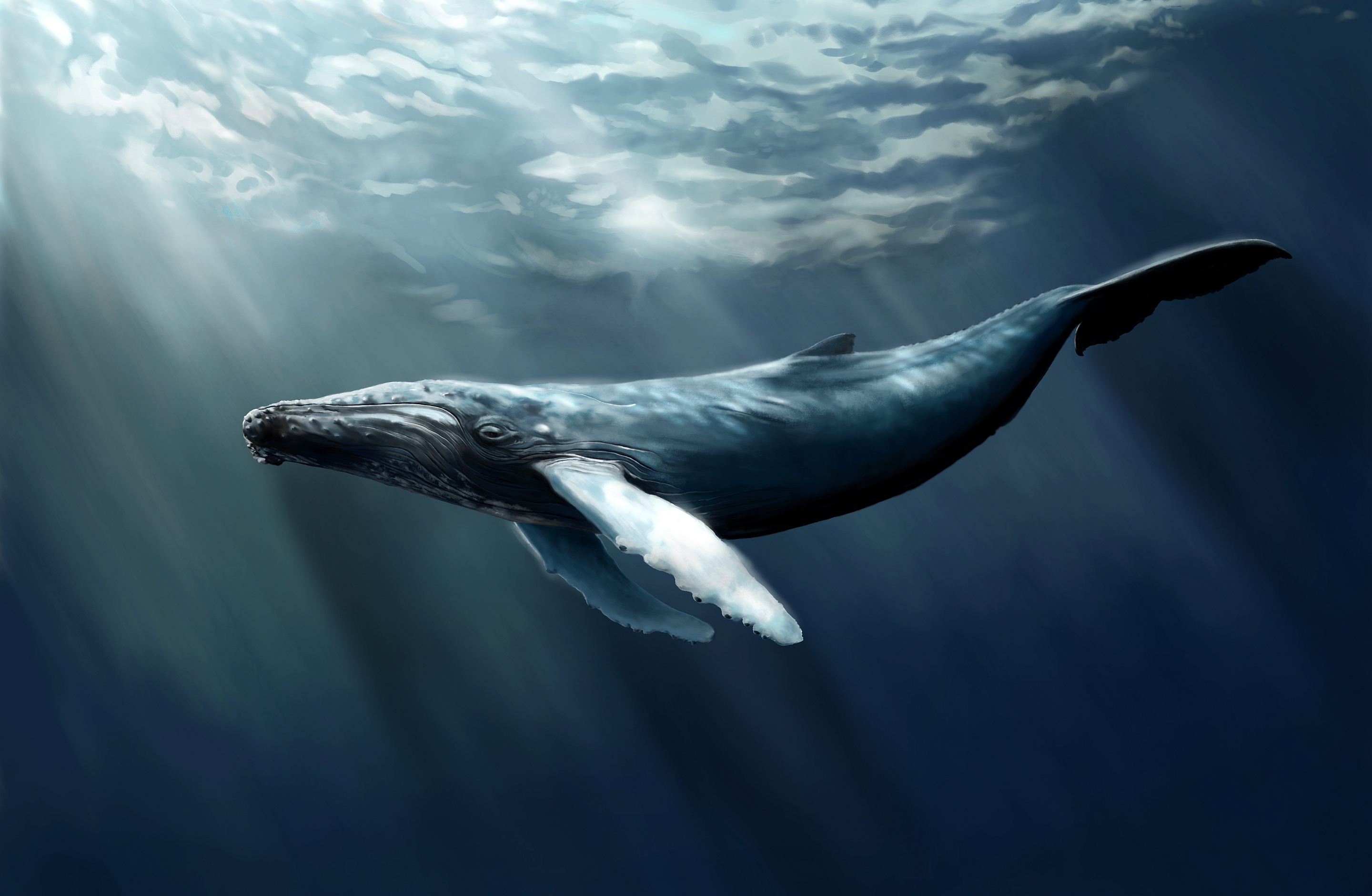 远古鲸鱼巨鲸图片