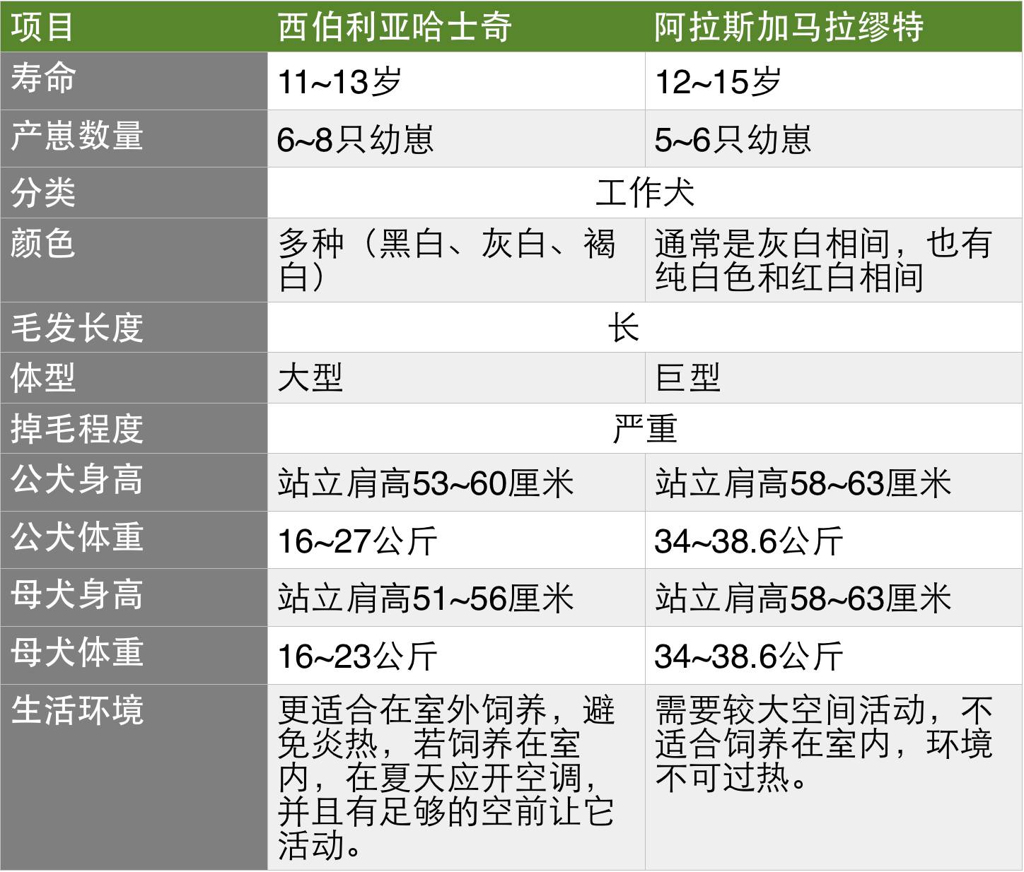 阿拉斯加马拉缪特 大概是名字没哈士奇更好念才没成为火爆网络的表情包 果壳精选