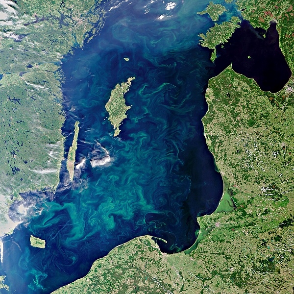 春夏两季，赫氏圆石藻形成的乳白色水华，在世界各地的海洋上飘荡，远远望去，恰似印在铜版纸上的精致大理石花纹。（图片：wired.com）