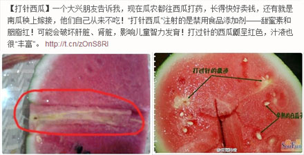 之前在微博上，有人误将西瓜的正常胎座组织当成了“打针”留下的痕迹。