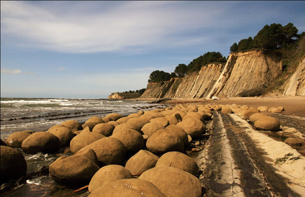 美国加州的保龄球海滩（Bowling Balls Beach）。岩层中的结核风化出来，散布在海边。图：Mila Zinkova