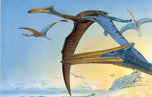 风神翼龙一名来源于中美洲文明普遍信奉的最高神祇——羽蛇神。传说中，羽蛇神是主宰晨星的风神。风神翼龙，地球上最大的飞行生物，也是有史以来最完美的滑翔者。图/ people.com