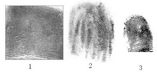 你能认出哪两个指纹属于同一个人吗？