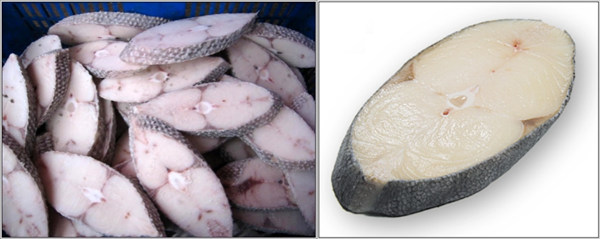 蛇鲭，也就是最近引发巨大关注的“油鱼”。左为棘鳞蛇鲭的切片鱼肉，右为异鳞蛇鲭。