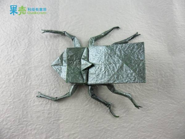折纸姬甲虫图片