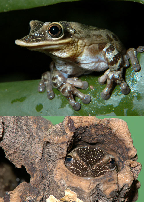 地道保卫战一一夫当关