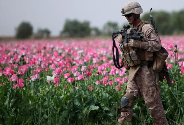 在阿富汗赫尔曼德省，巡逻的美军士兵正经过一片罂粟花海。阿富汗是世界上最大的罂粟种植国之一，近年来也已成为全球鸦片生产第一大国。 图/reuters.com