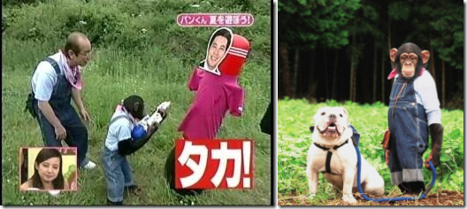 日本著名节目猩猩和狗的大冒险