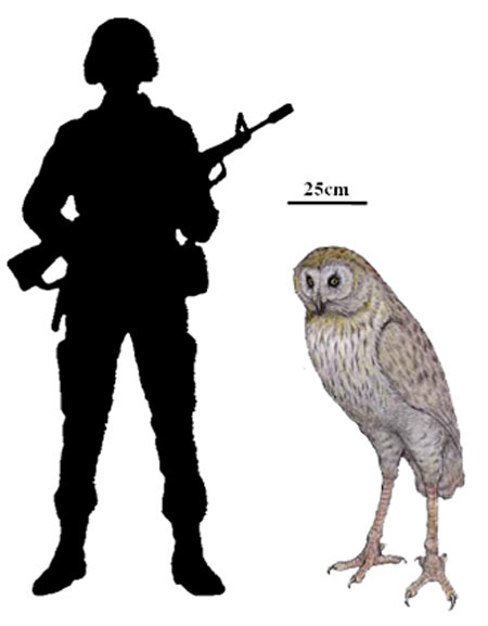 http://guokr.com/gkimage/wy/6b/ya/wy6bya.png